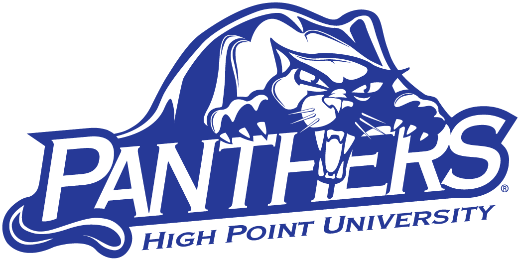 High Point Panthers 2004-Pres Alternate Logo t shirts iron on transfers v3
